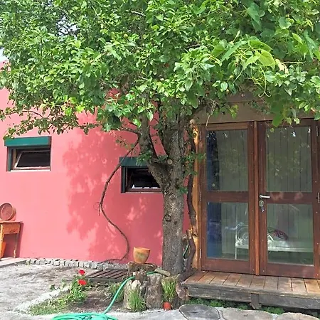 Lodge Surf Camp