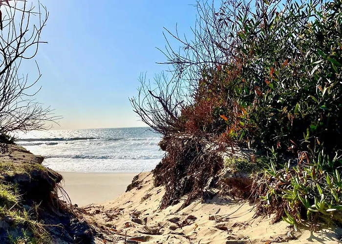 Деревянный коттедж Surf Camp *