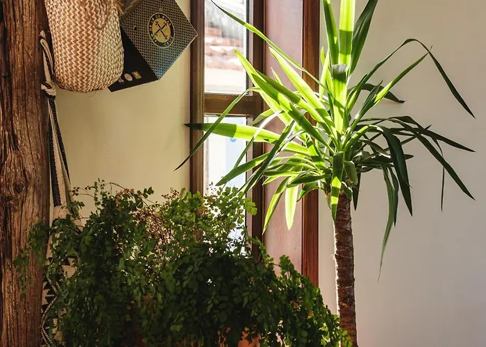 Surf Camp Деревянный коттедж Maceda