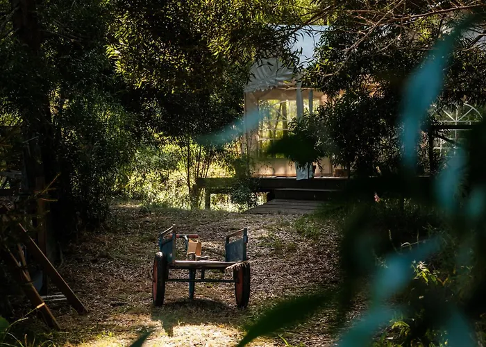 Surf Camp Деревянный коттедж